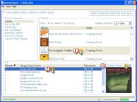 iAutoArtwork 2.64 screenshot. Click to enlarge!