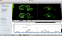 mMass 5.4.1 screenshot. Click to enlarge!