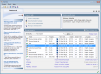 memoQ 8.0.29 screenshot. Click to enlarge!