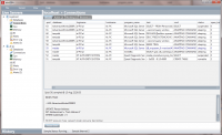 miniDBA 2.5.0.0 screenshot. Click to enlarge!