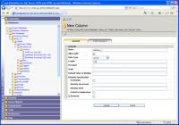myLittleAdmin for SQL Server 2005 3.1 screenshot. Click to enlarge!
