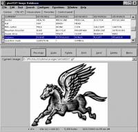 pixelCAT 1.00 screenshot. Click to enlarge!