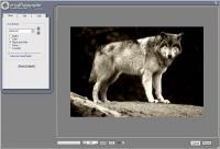 virtualPhotographer 1.5.6 screenshot. Click to enlarge!