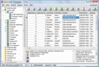 xBaseView Database Explorer 11.0 screenshot. Click to enlarge!